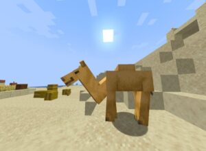Minecraft Camel Facts 2