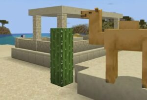 Minecraft Camel Facts 3