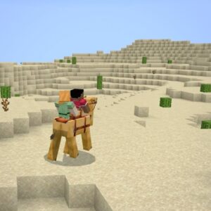 Minecraft Camel Facts 4