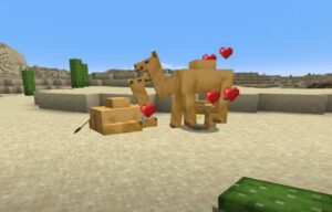 Minecraft Camel Facts 5