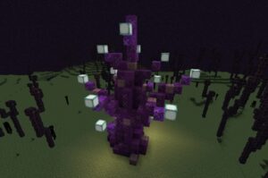 Minecraft End Dimension Guide 3