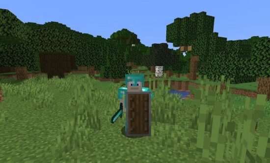 Minecraft Features 1